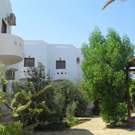Alaska Camp & Hotel Dahab Bilik gambar
