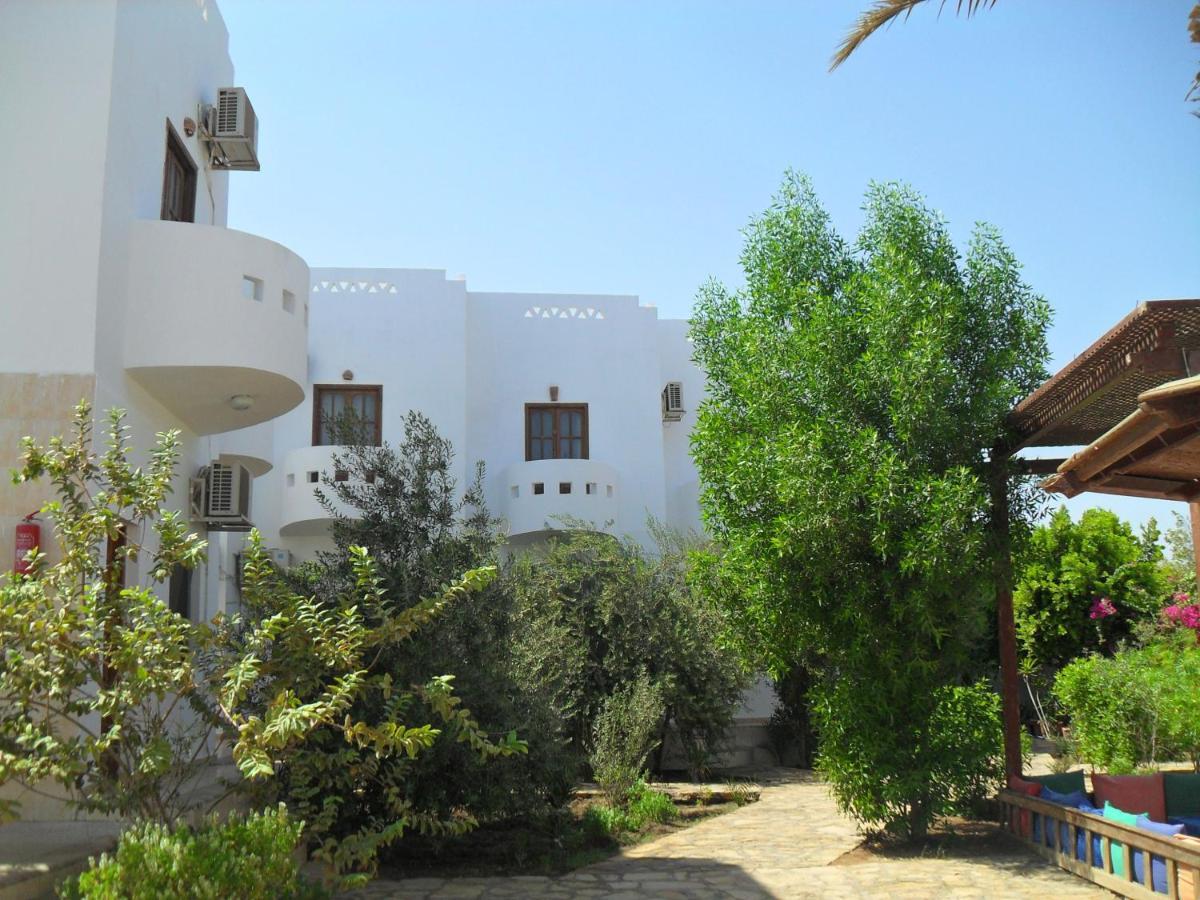 Alaska Camp & Hotel Dahab Bilik gambar